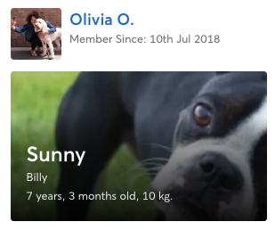Dog_profile_S_UK.png