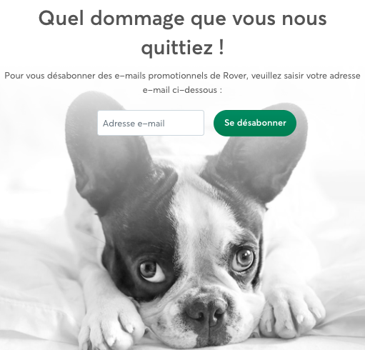 Unsubscribe email FR.png