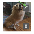 Add_caption_to_photo.png